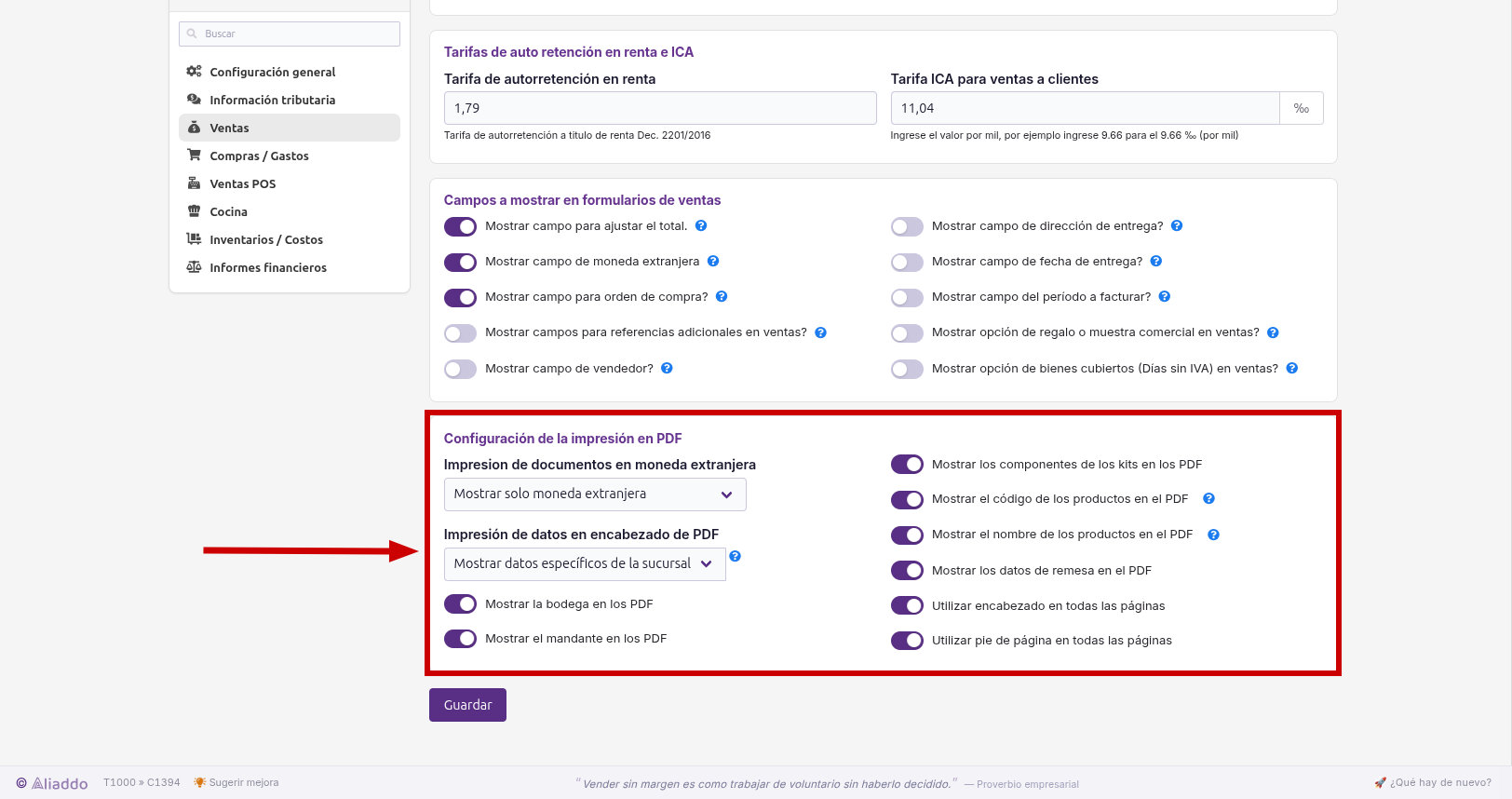 Opciones de impresión en PDF configuradas