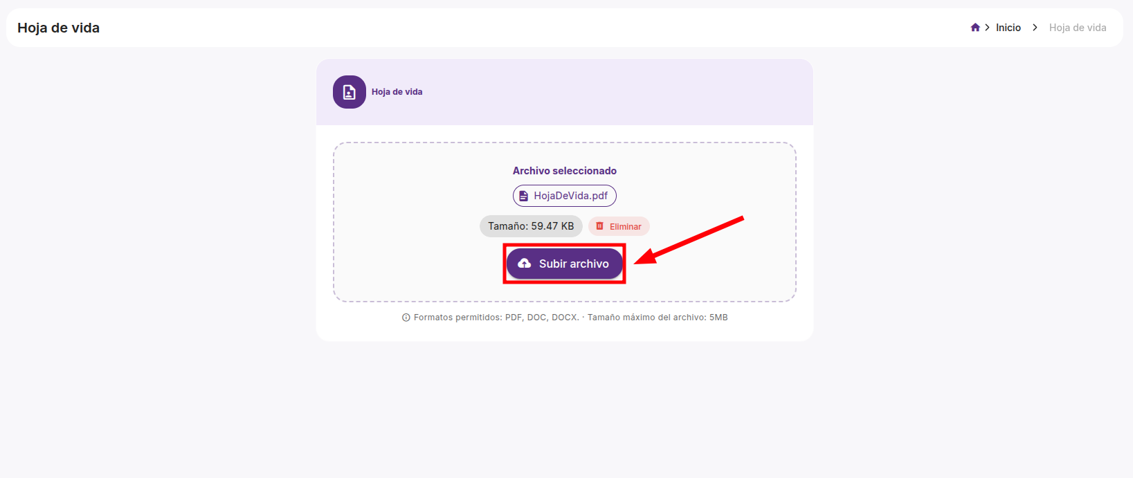 Archivo seleccionado listo para subir