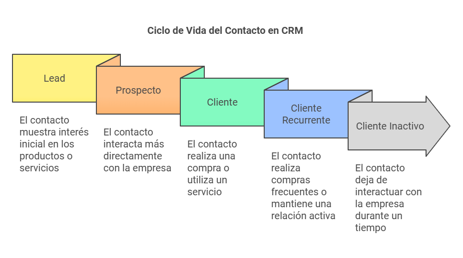 Ciclo de vida del contacto